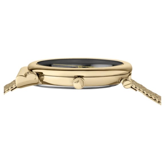 Salvatore Ferragamo 34mm Gold Black Dial Watch